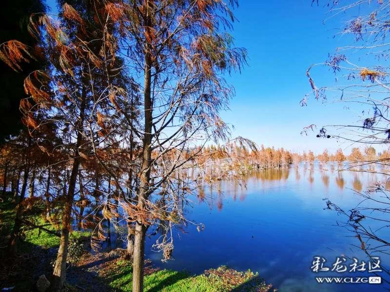 了解毕加索的全名是什么?,探索知识星球平台的精彩内容