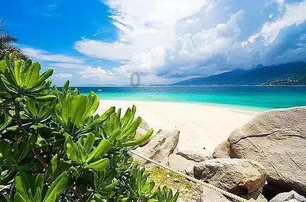 山西证券：黄金首饰兼具投资与消费属性