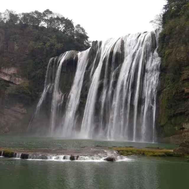 救援小棕兔