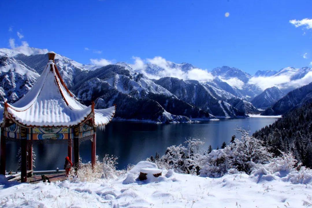 张延昆参加政协中共界审议常委会工作报告和提案工作情况报告